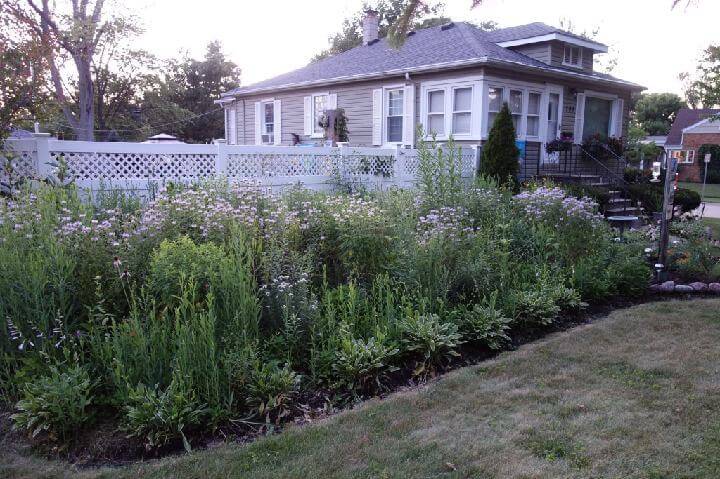 This image has an empty alt attribute; its file name is garden_tours_lecroy_yard_2020_front_prairie.jpg