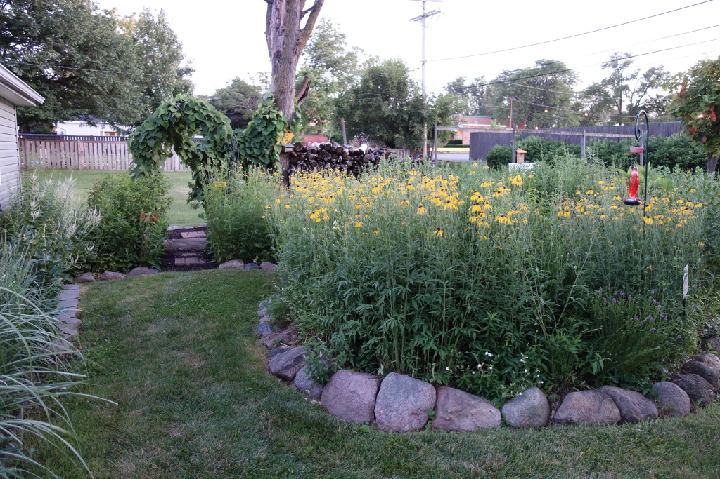 This image has an empty alt attribute; its file name is garden_tours_lecroy_yard_2020_prairie.jpg