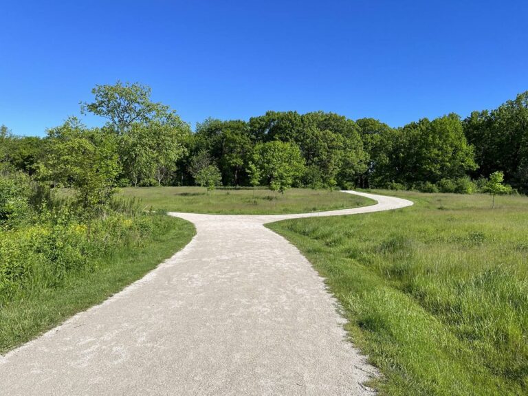 Take a Hike Wood Dale Grove Forest Preserve Wild Ones Greater DuPage